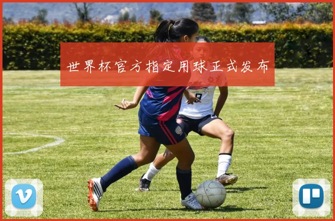 世界杯官方指定用球正式发布