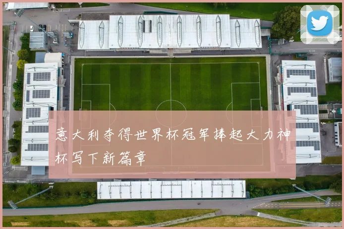 意大利夺得世界杯冠军捧起大力神杯写下新篇章
