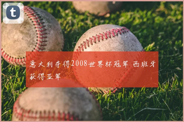 意大利夺得2008世界杯冠军 西班牙获得亚军